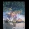 user635613181