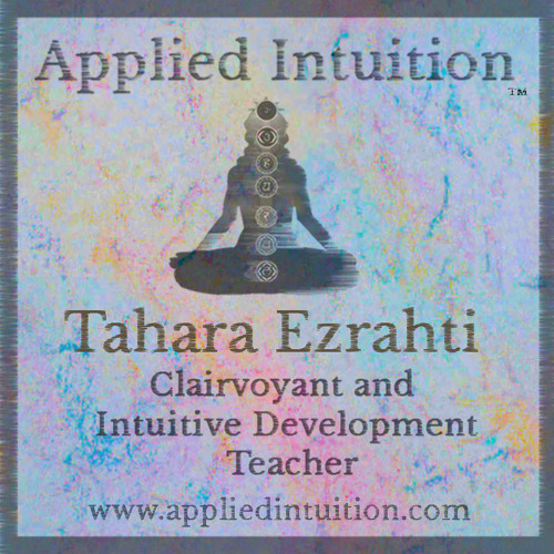 Applied Intuition’s avatar