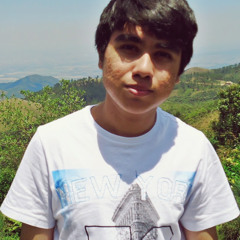 Henrique Wakimoto