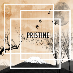 --PRiSTiNe-uNKo--