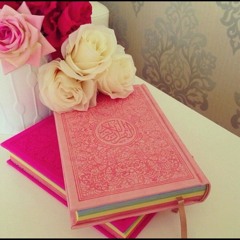 amlak31128