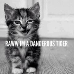 Alfari Rezki Elfandari