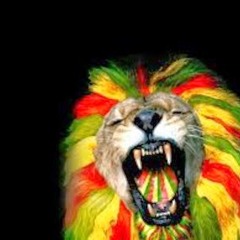 BlazeGoldCrew costa rica