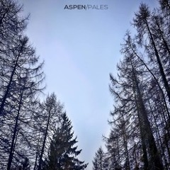Aspen Pales