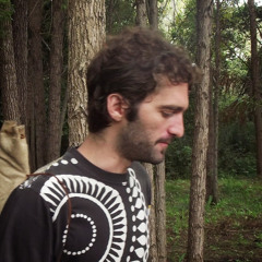 Cóndor Diamante