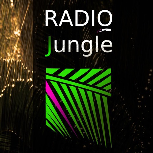 Stream Radio Jungle-Radio PNR music | Listen to songs, albums, playlists  for free on SoundCloud