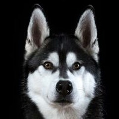 Ivan Dominic B. Aballe