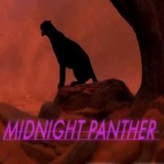 MIDNIGHT PANTHER