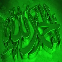 Ahmed M Salah