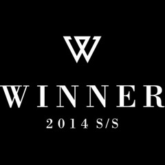 winner1134