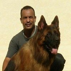 Mohsen Madkour