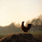 RoosterMusic