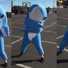 Left Shark