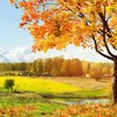 user769209605
