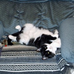 Cassius and His ZMan Band