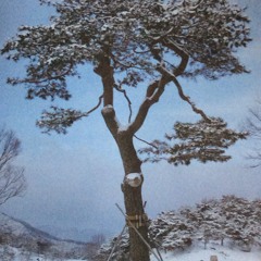 wkrstudy