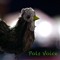 Pols Voice