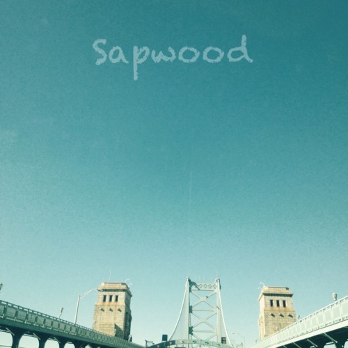 Sapwood’s avatar
