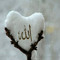 user231985673