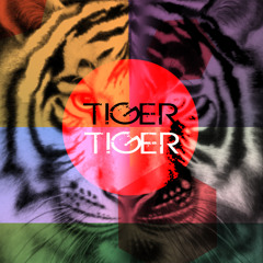 TigerTiger