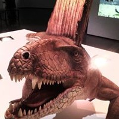 Rachel Metzler Brennan