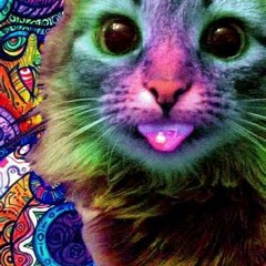 mrbiglesworth2