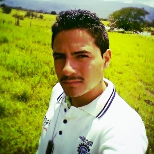 Luis Eduardo Ibarra’s avatar