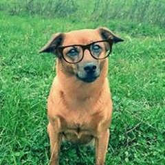 Nicole U. Michael Schrenk