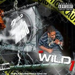 da-wild_1