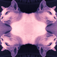 Emmancipator