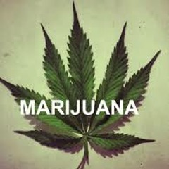 imtotallybaked