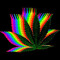 Krissy420