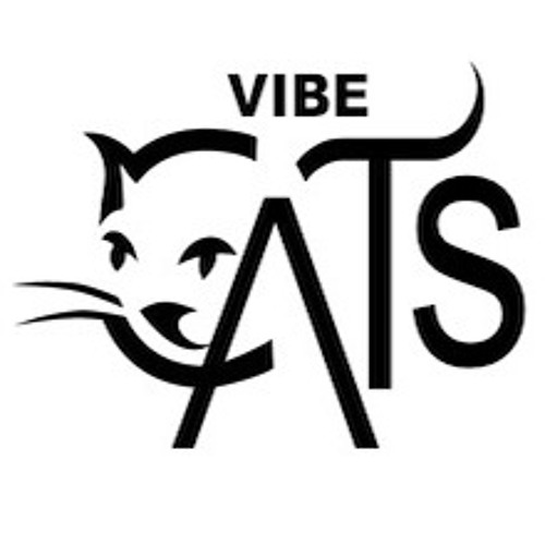 VibeCats’s avatar