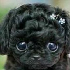 Deasiajah Cobbphillips