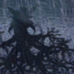 a Star called Wormwood