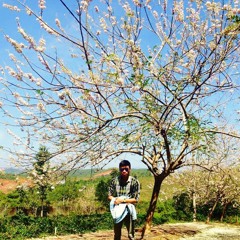 Ngọc Sơn