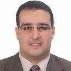 Ayman Metwally
