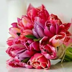 Monique van Prattenburg