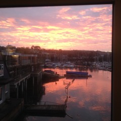 Left Eclectic - Where do you think we are going