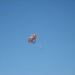 Nappertapper Mcnicol