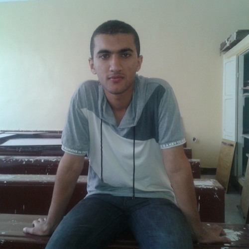 Mohamed Eltelity’s avatar