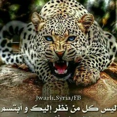 user768987033