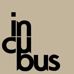 DJ Incubus