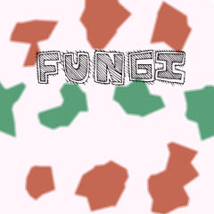 Fungi Music