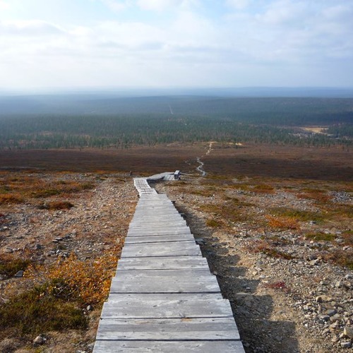 TV On The Radio (DLZ)