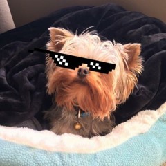 JackTheCEO