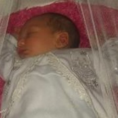 Rody Ali