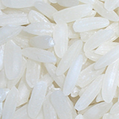 ricegambino