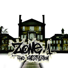 Zone1_TheInstitution