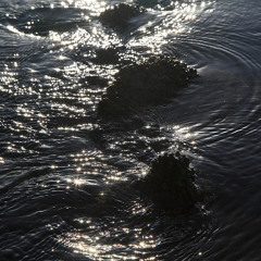 Jackson Sandland